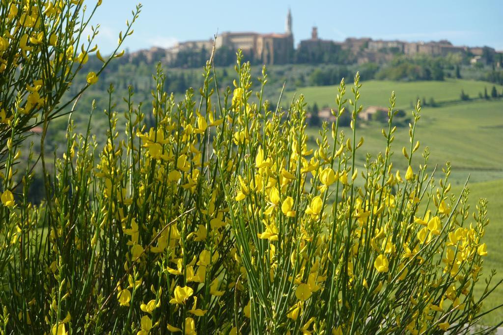Camere Andrei Pienza Eksteriør billede
